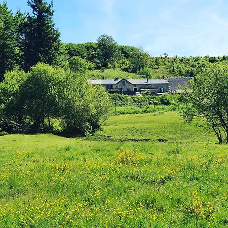 Ranch Du Haut-Languedoc La Salvetat-sur-Agout Ngoại thất bức ảnh