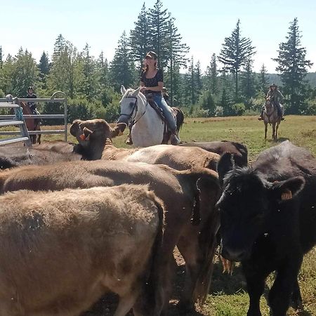 Ranch Du Haut-Languedoc La Salvetat-sur-Agout Ngoại thất bức ảnh